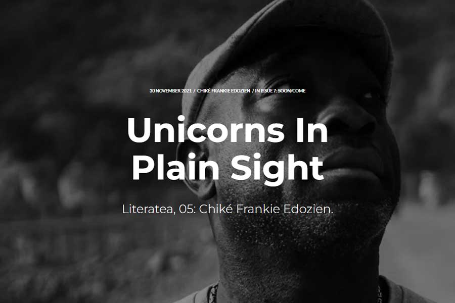 Unicorns In Plain Sight Cover Photo